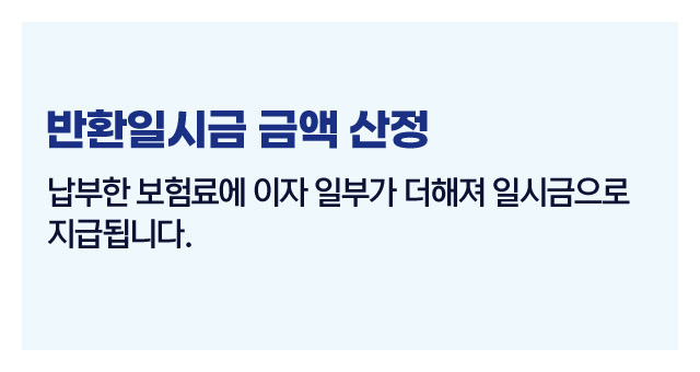 국민연금반환일시금정리-이미지4