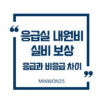 응급실내원비실비보장